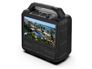 Portable 1080P Video Entertainment System